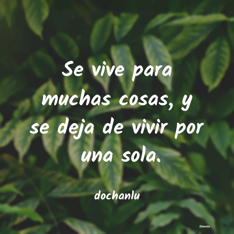 frases de dochanlu