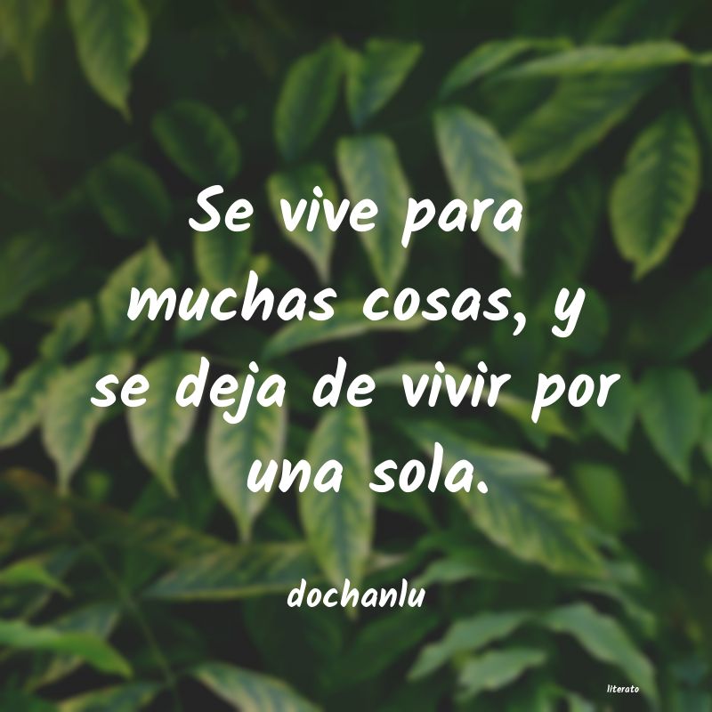 Frases de dochanlu