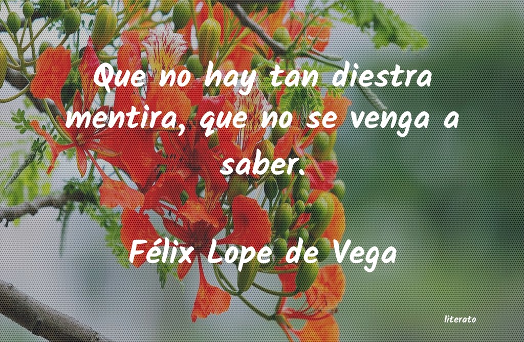 Frases de Félix Lope de Vega