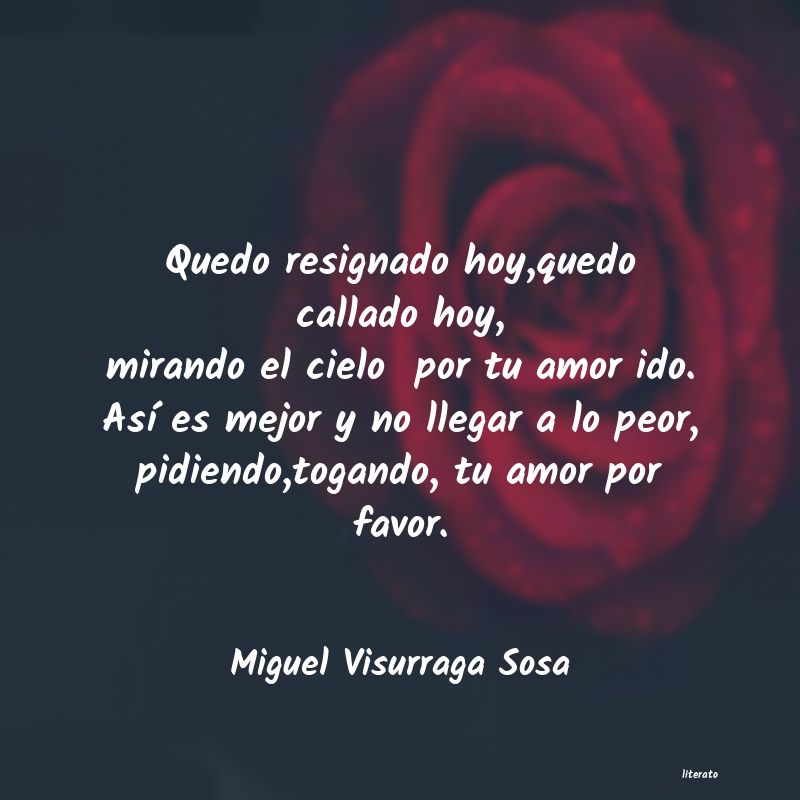 frases de Miguel Visurraga Sosa