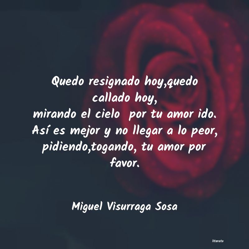 Frases de Miguel Visurraga Sosa