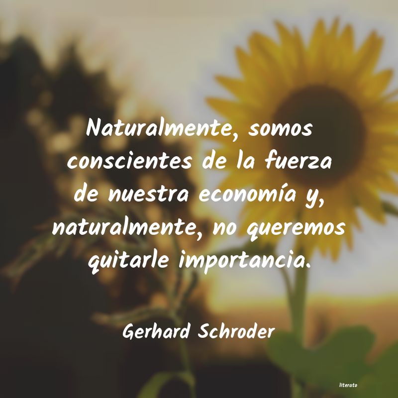 Frases de Gerhard Schroder