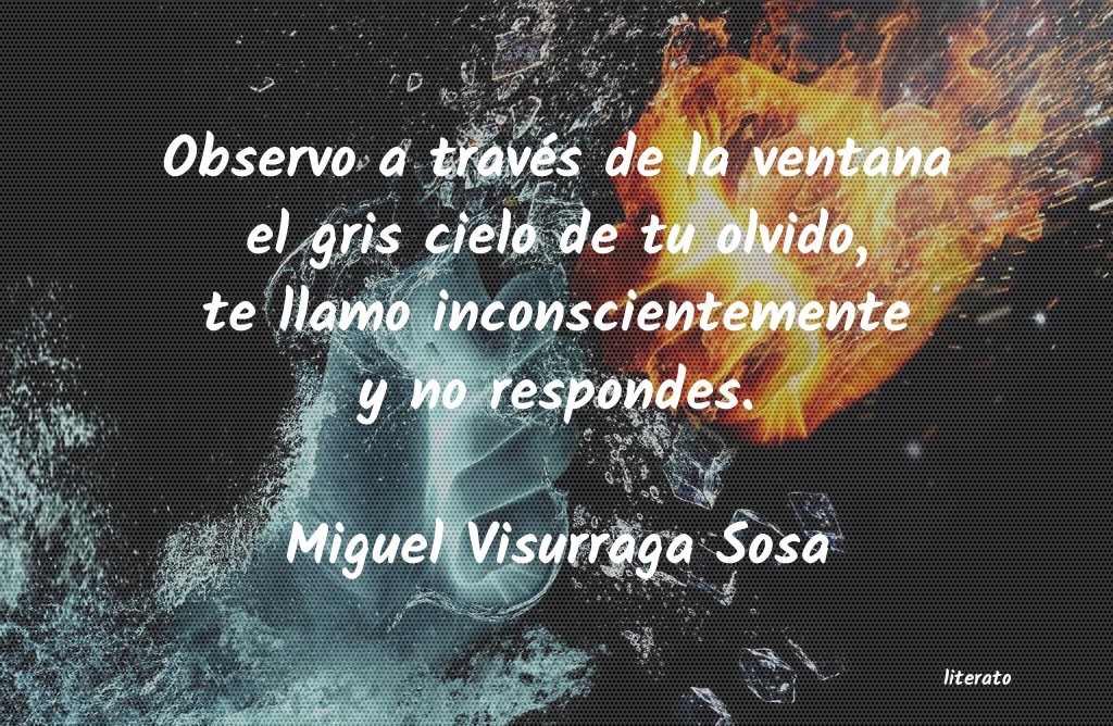 Frases de Miguel Visurraga Sosa