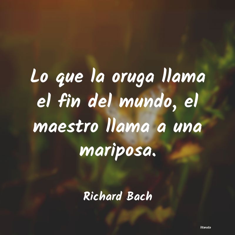 Frases de Richard Bach