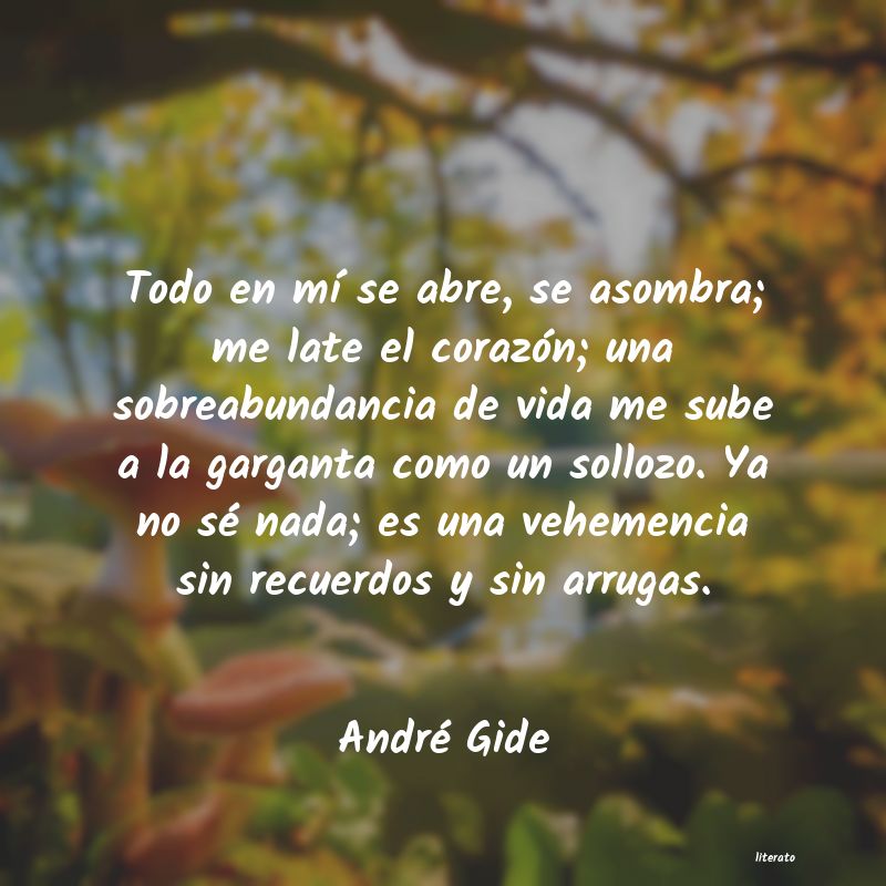 Frases de André Gide