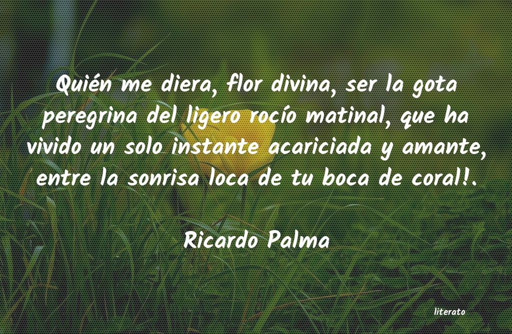 Frases de Ricardo Palma