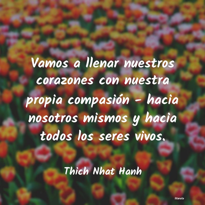 Frases de Thich Nhat Hanh