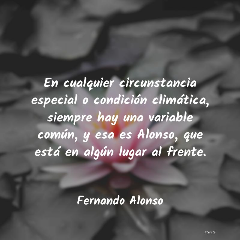 frases de Fernando Alonso