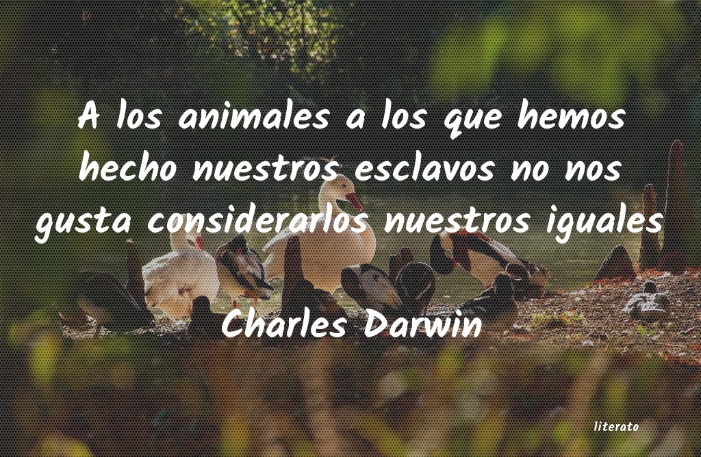 Frases de Charles Darwin