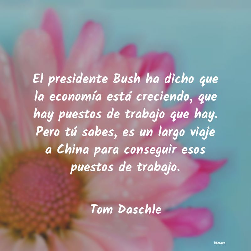 Frases de Tom Daschle