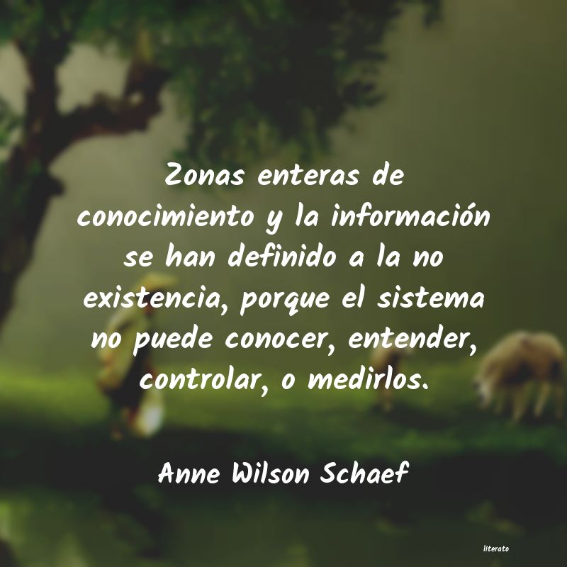 frases de Anne Wilson Schaef