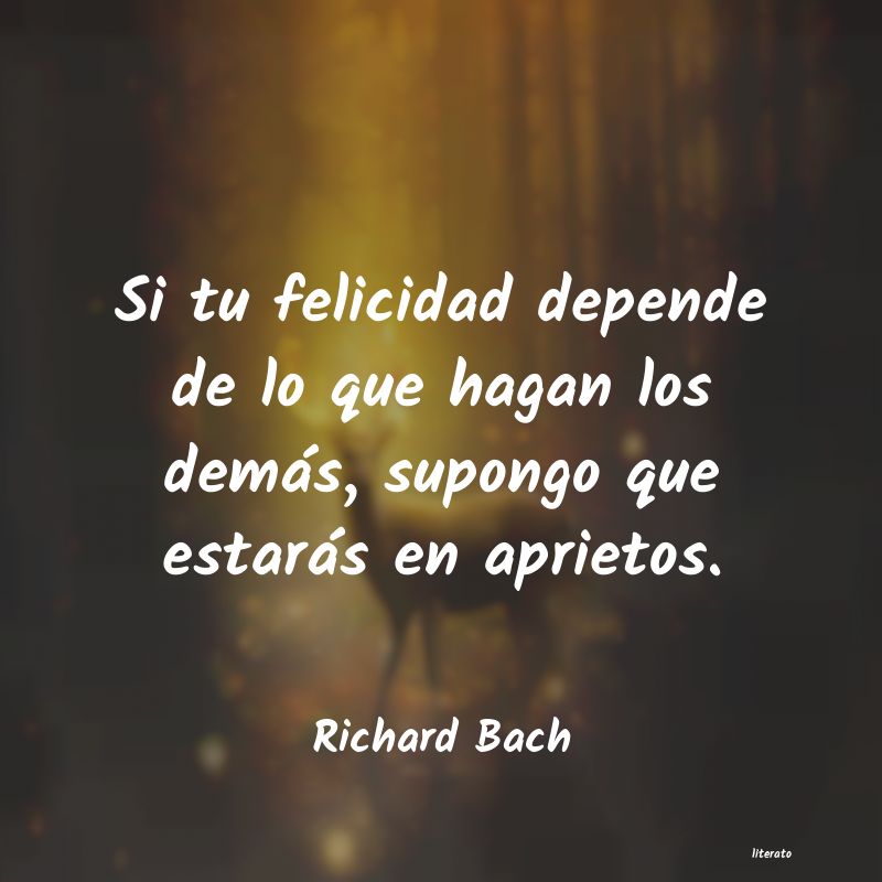 Frases de Richard Bach