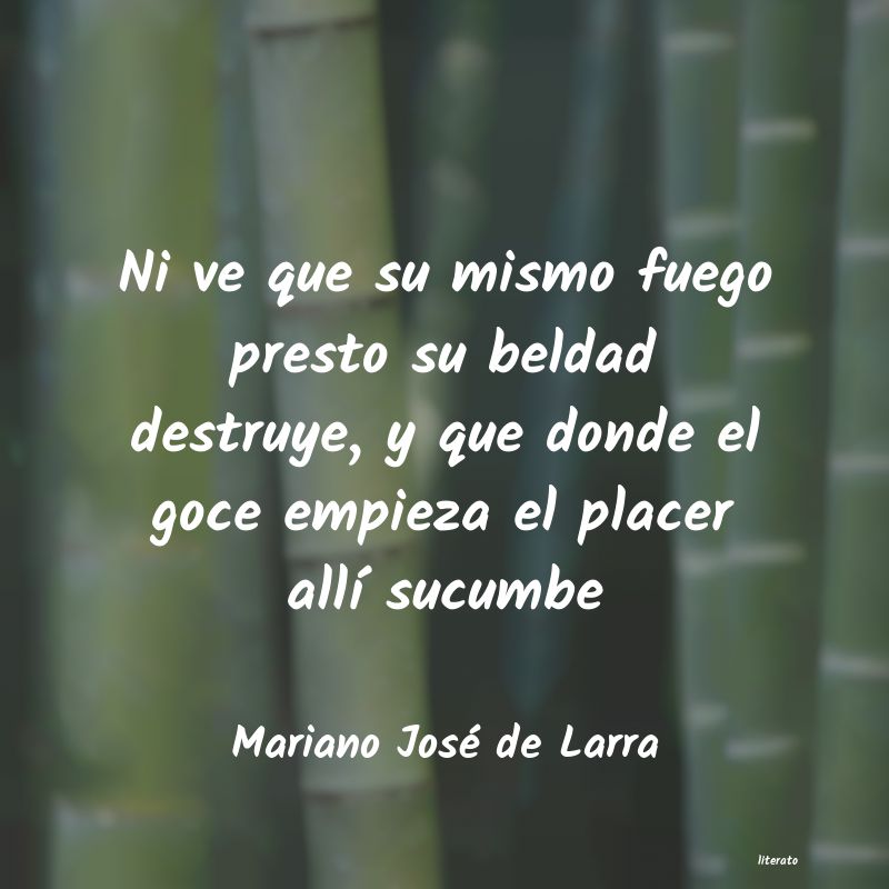 Frases de Mariano José de Larra
