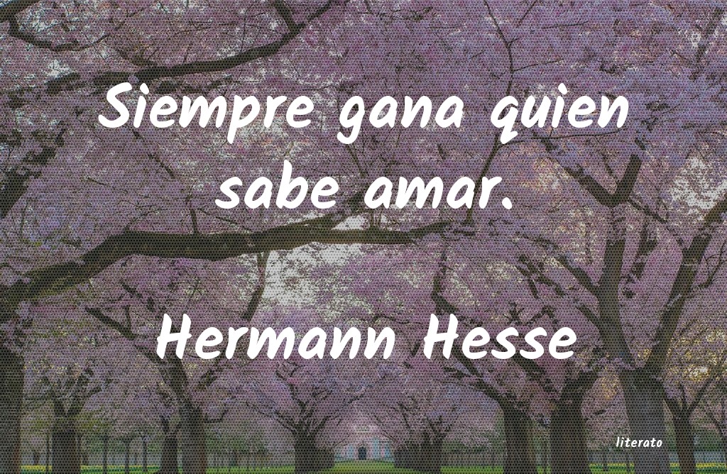 Frases de Hermann Hesse