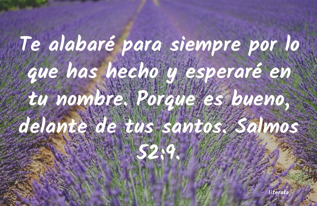 frases