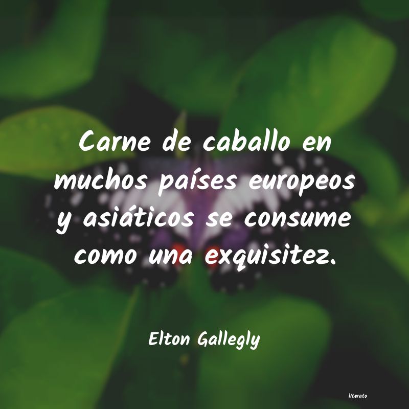 Frases de Elton Gallegly