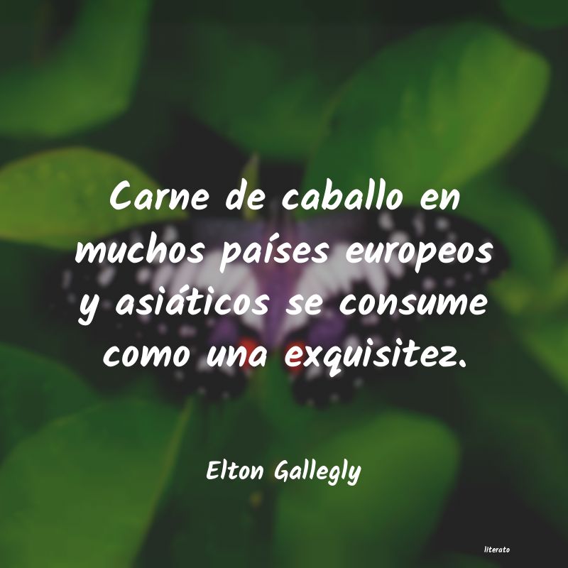 frases de Elton Gallegly