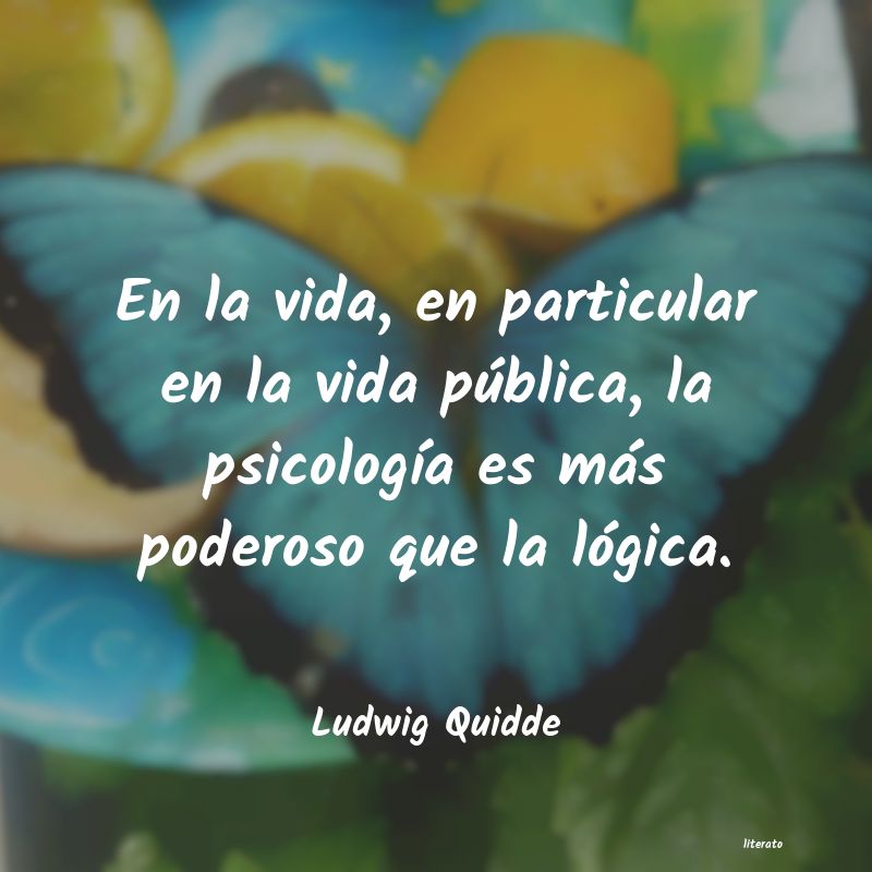 Frases de Ludwig Quidde