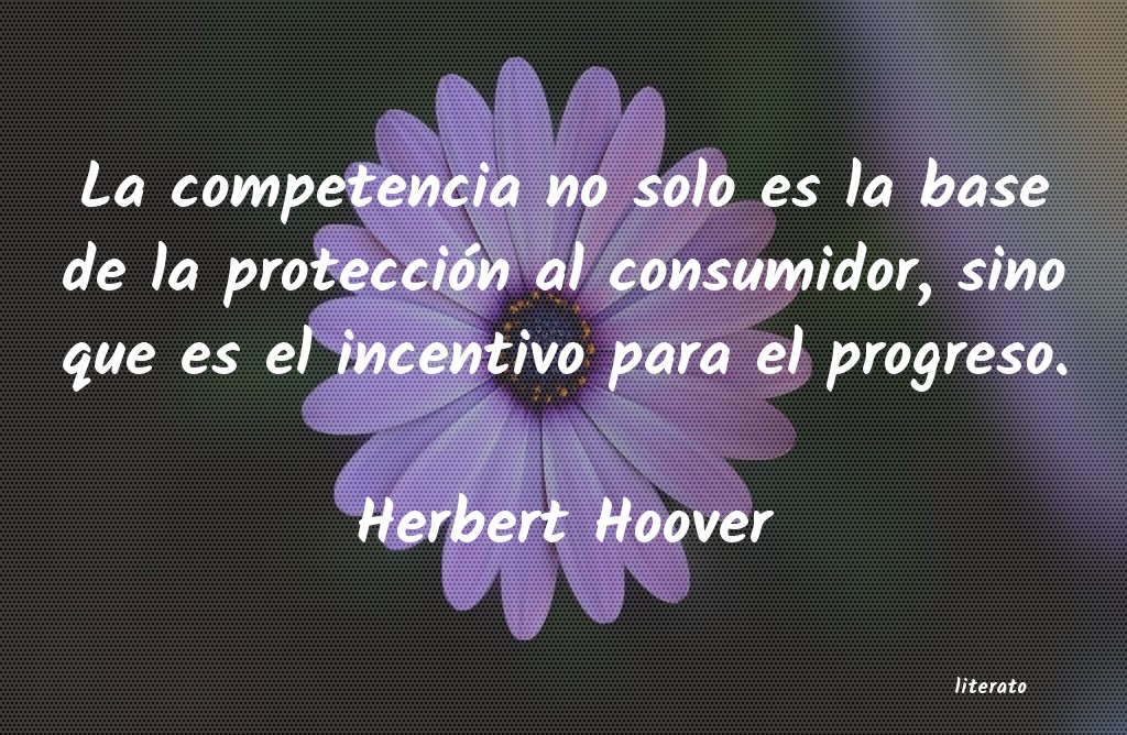 frases de Herbert Hoover
