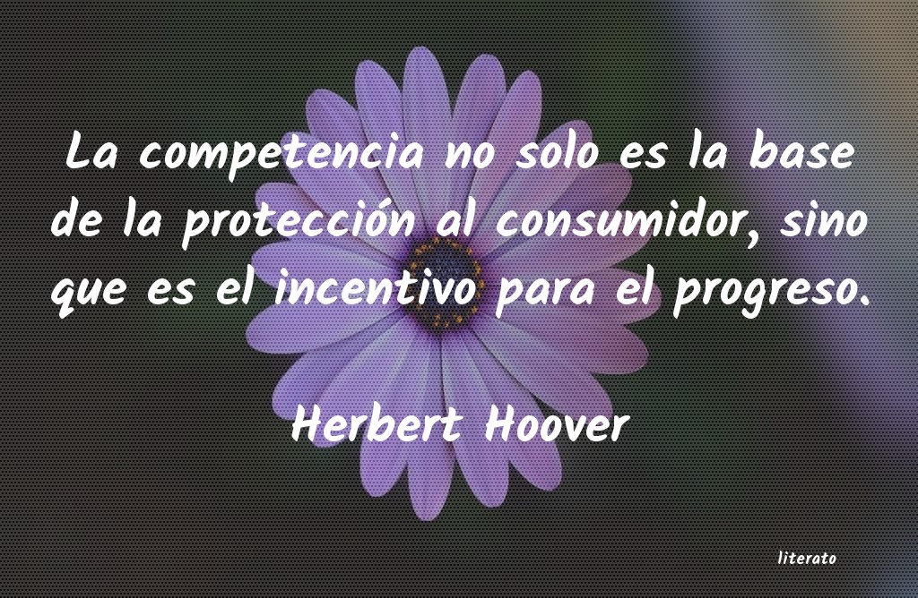 Frases de Herbert Hoover