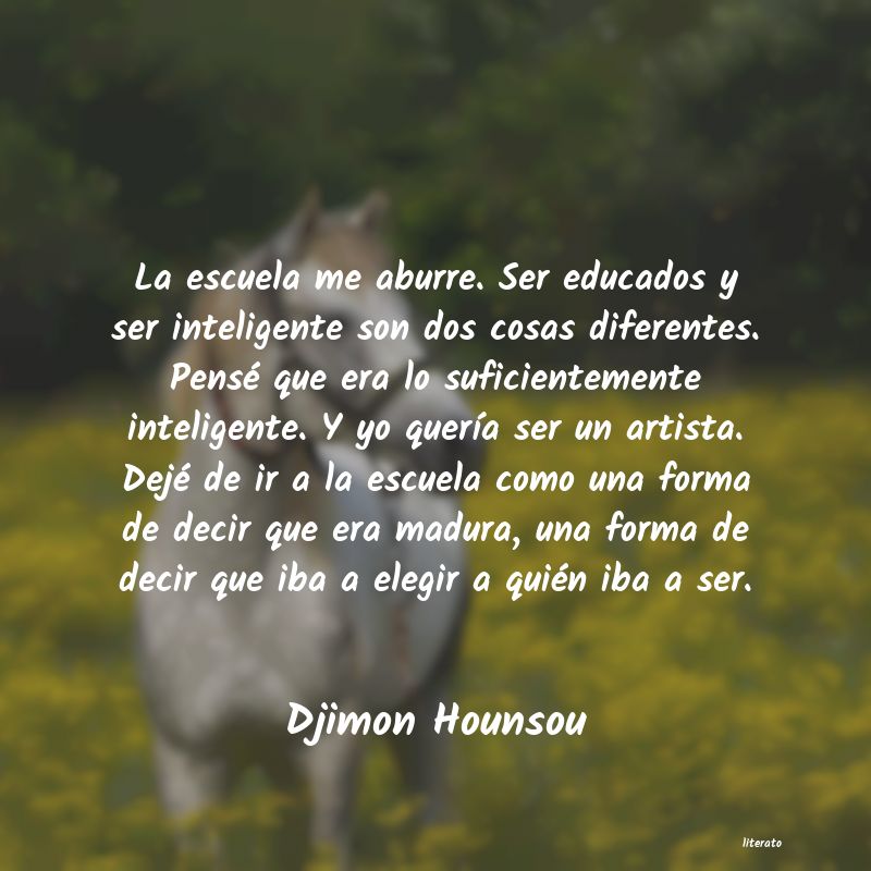 frases de Djimon Hounsou