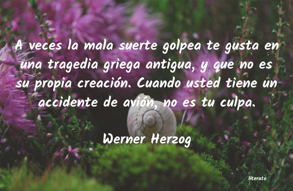 Frases de Werner Herzog