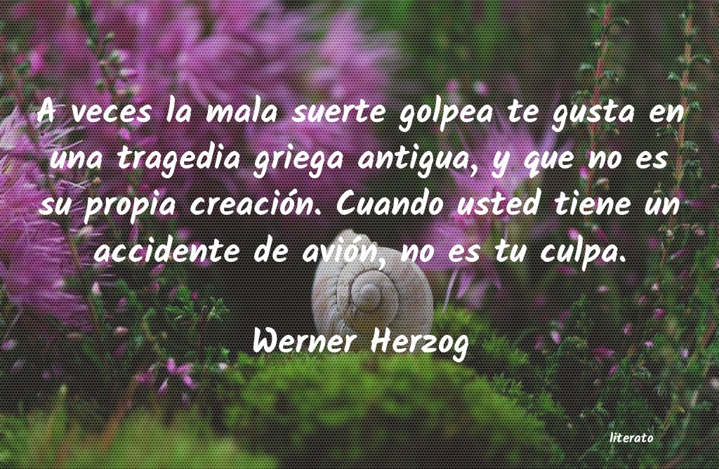 frases de Werner Herzog