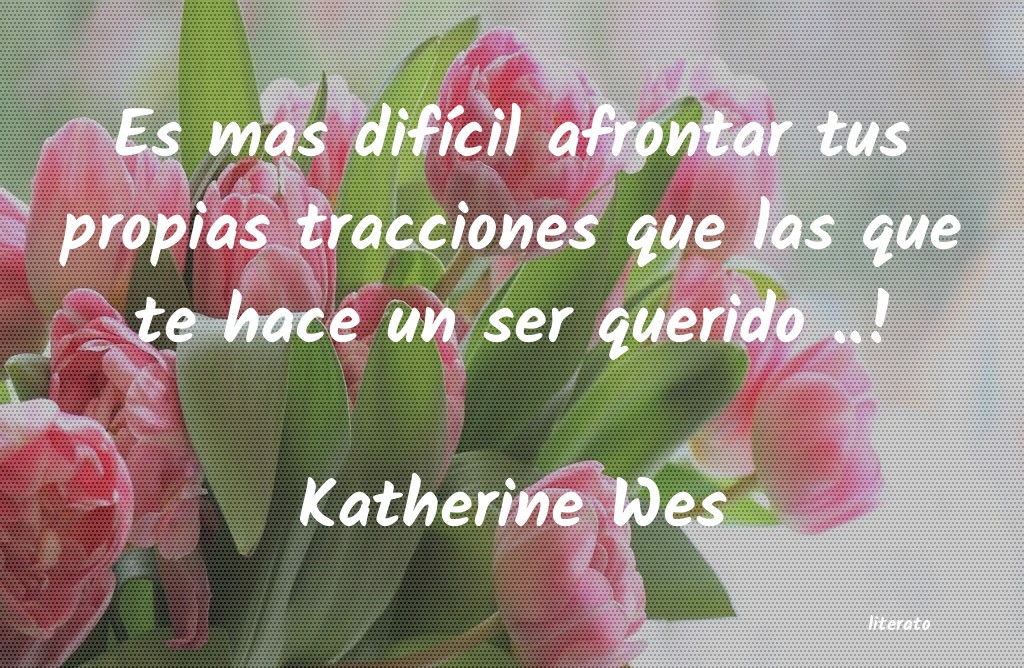 Frases de Katherine Wes