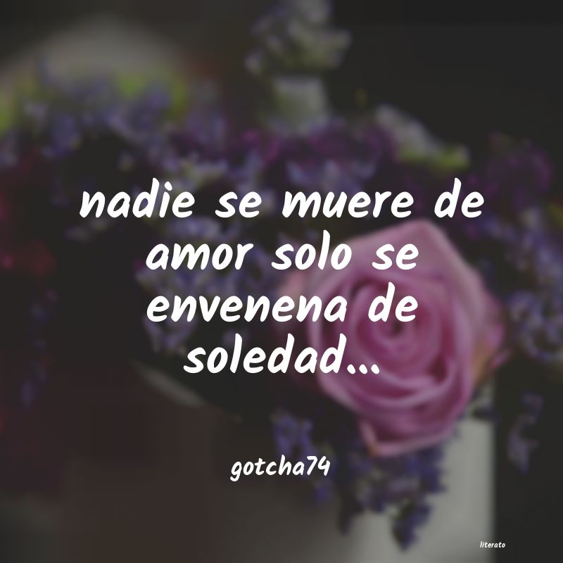 Frases de gotcha74