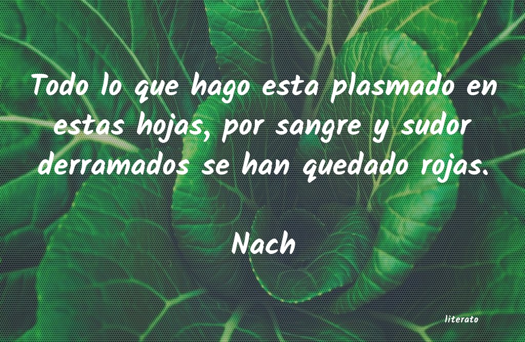 Frases de Nach