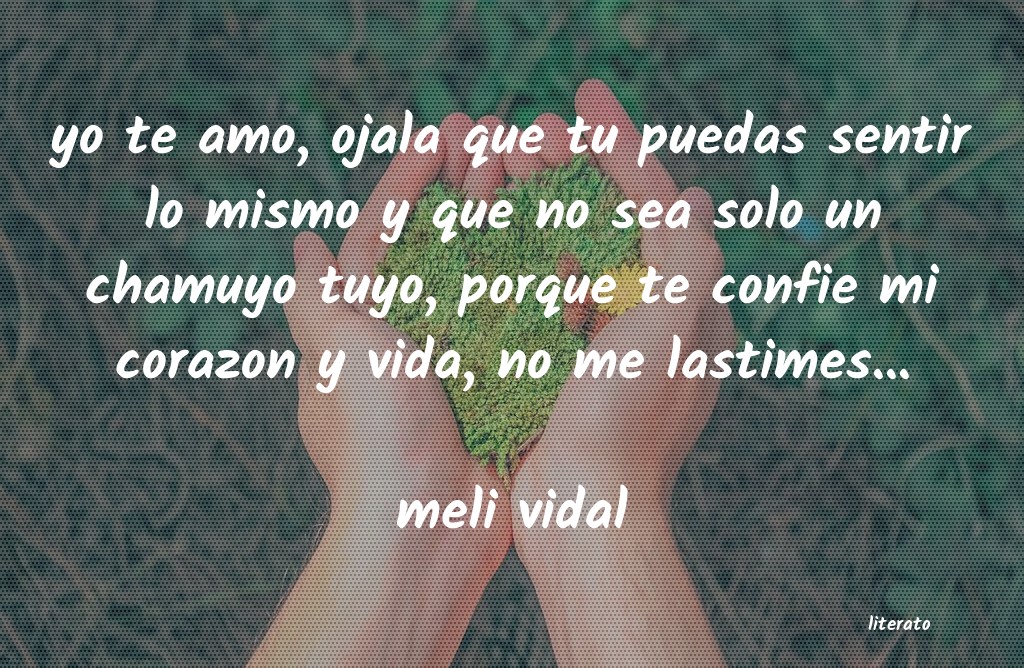 Frases de meli vidal