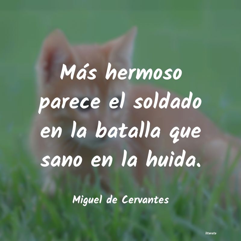 Frases de Miguel de Cervantes