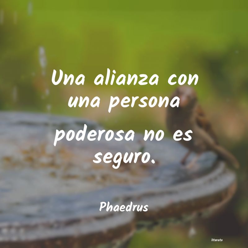 frases de Phaedrus