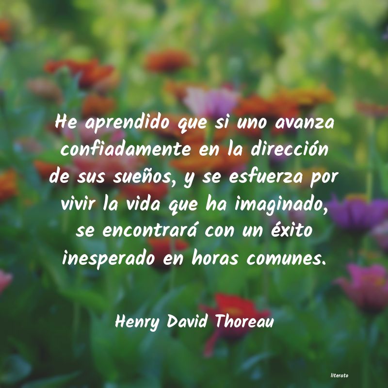 Frases de Henry David Thoreau