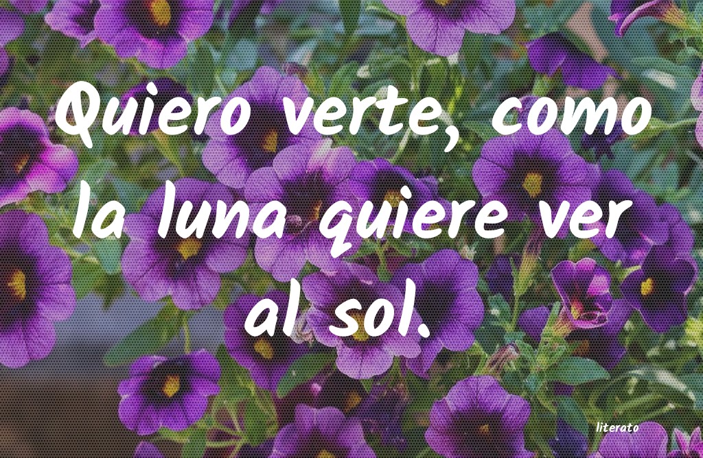 frases