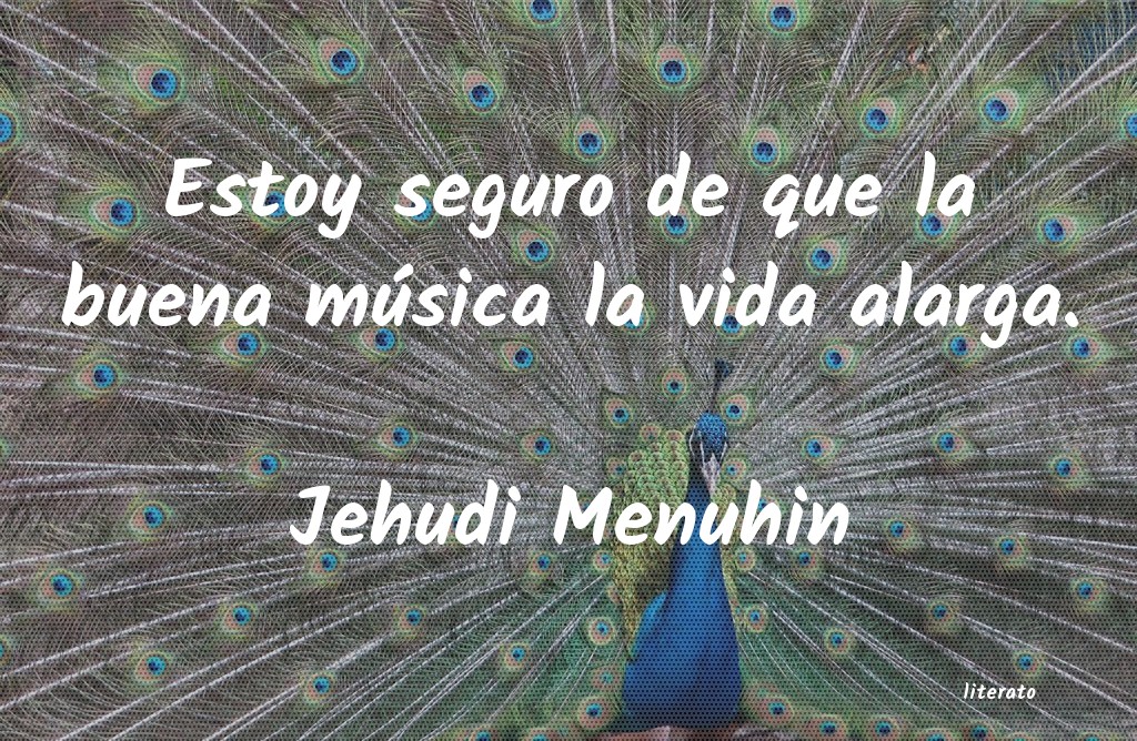 Frases de Jehudi Menuhin