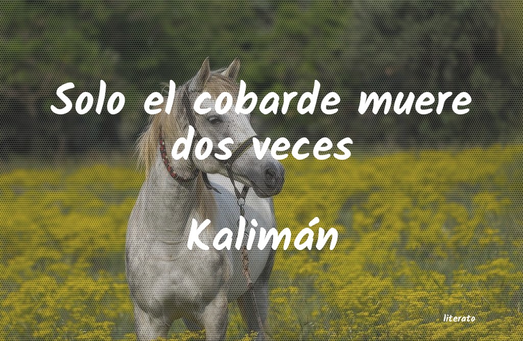 Frases de Kalimán