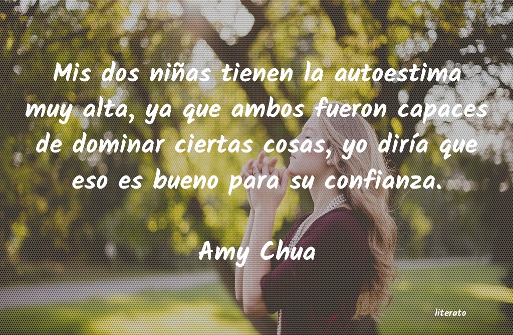 frases de Amy Chua