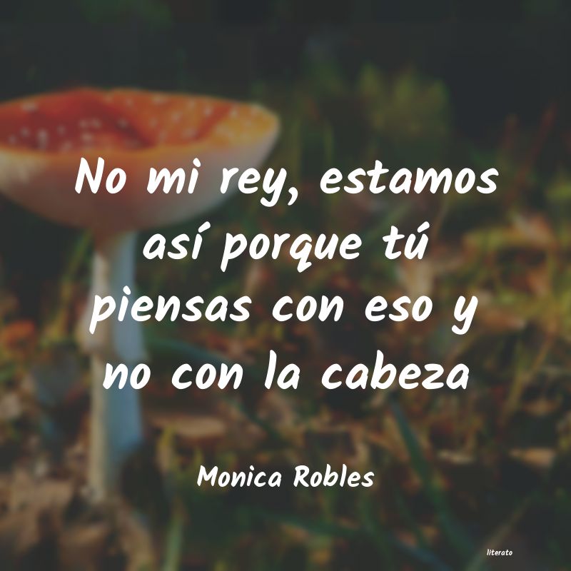 frases de Monica Robles