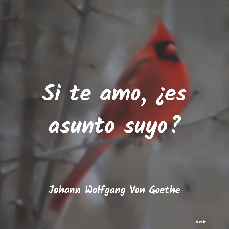 frases de Johann Wolfgang Von Goethe