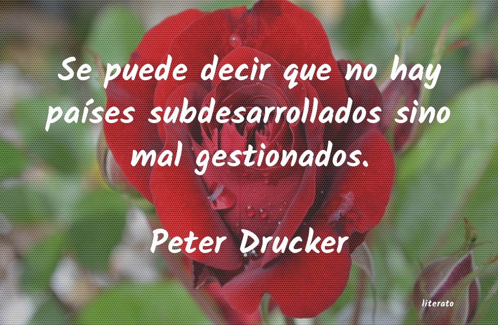 frases de Peter Drucker