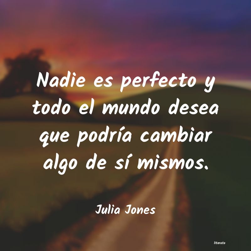 frases de nadie es perfecto