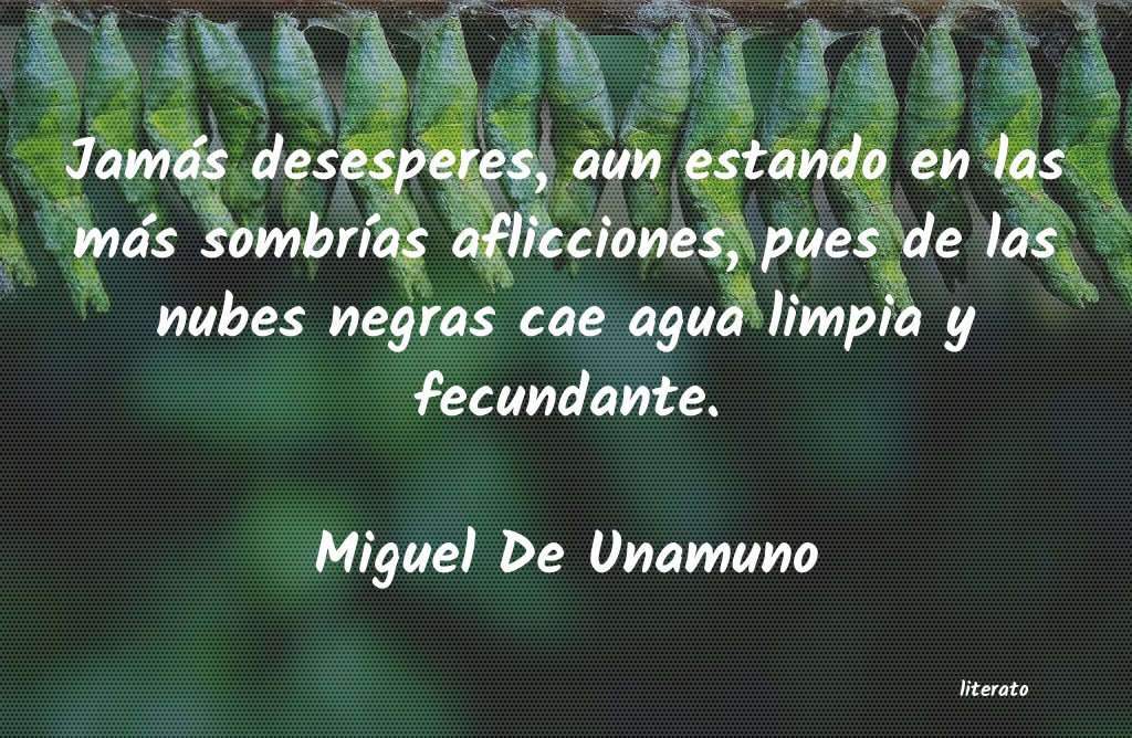 Frases de Miguel De Unamuno