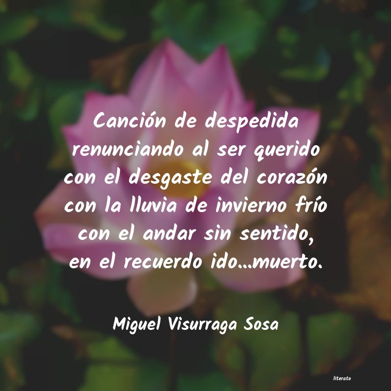 Miguel Visurraga Sosa: Canción de despedida renuncia