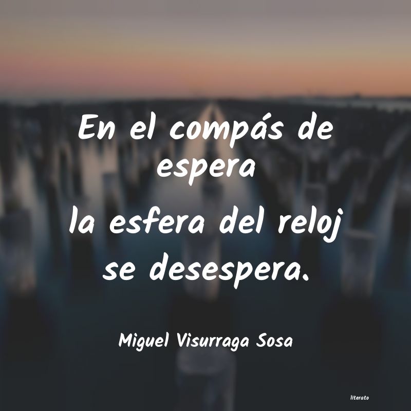 Frases de Miguel Visurraga Sosa