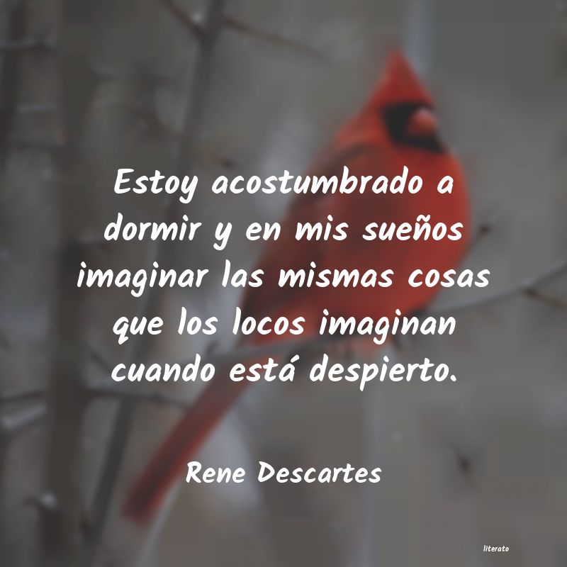 Frases de Rene Descartes