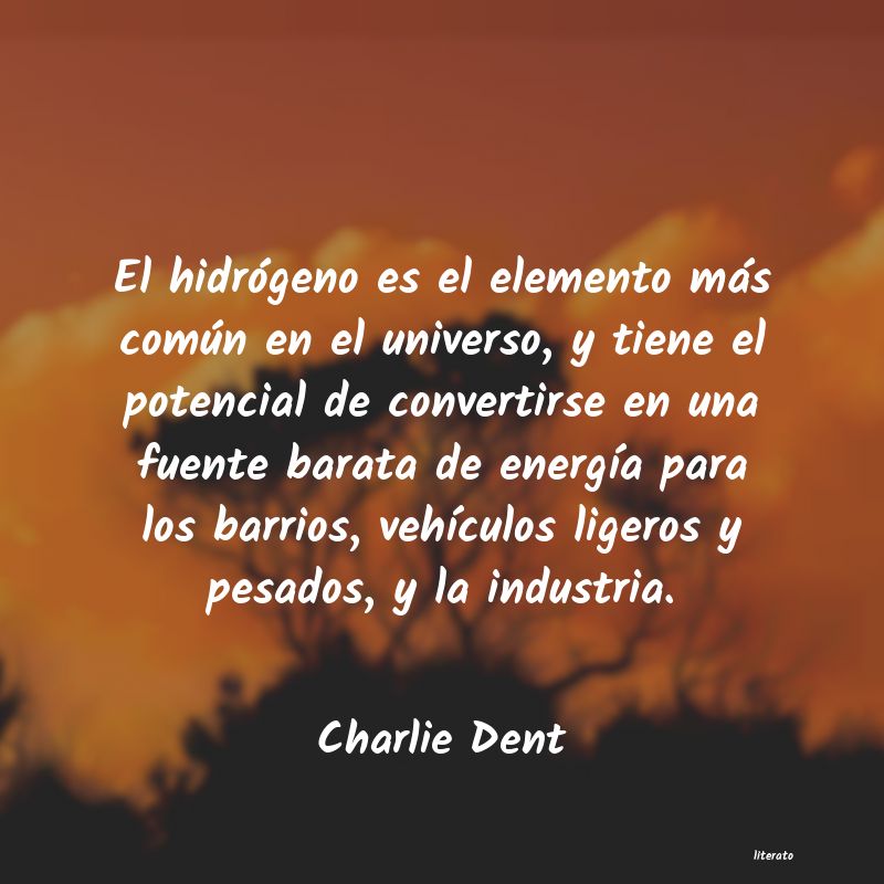 Frases de Charlie Dent