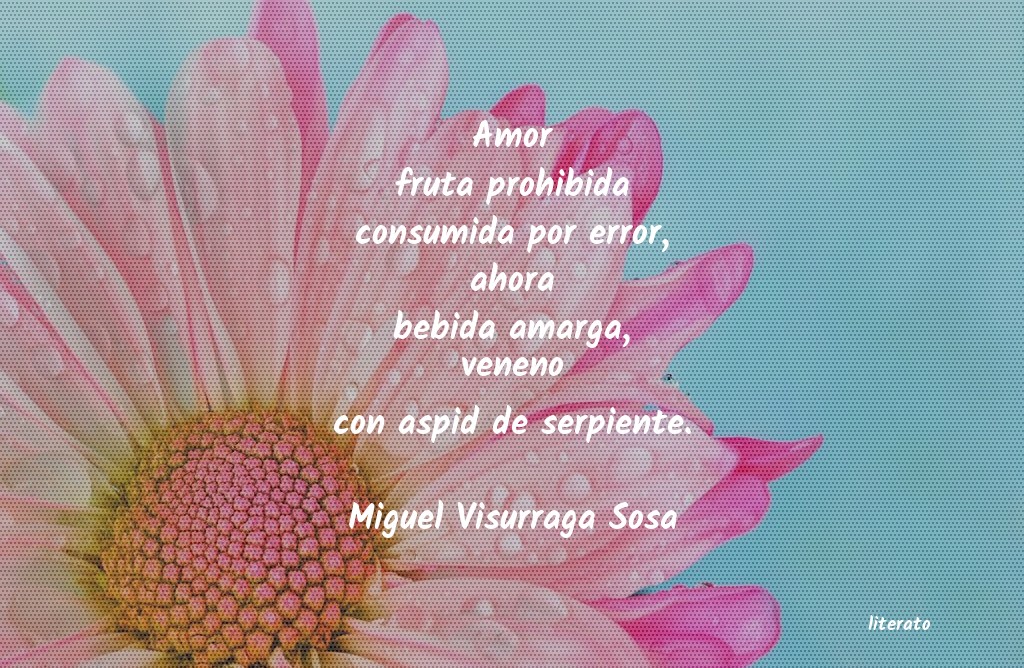 frases de Miguel Visurraga Sosa