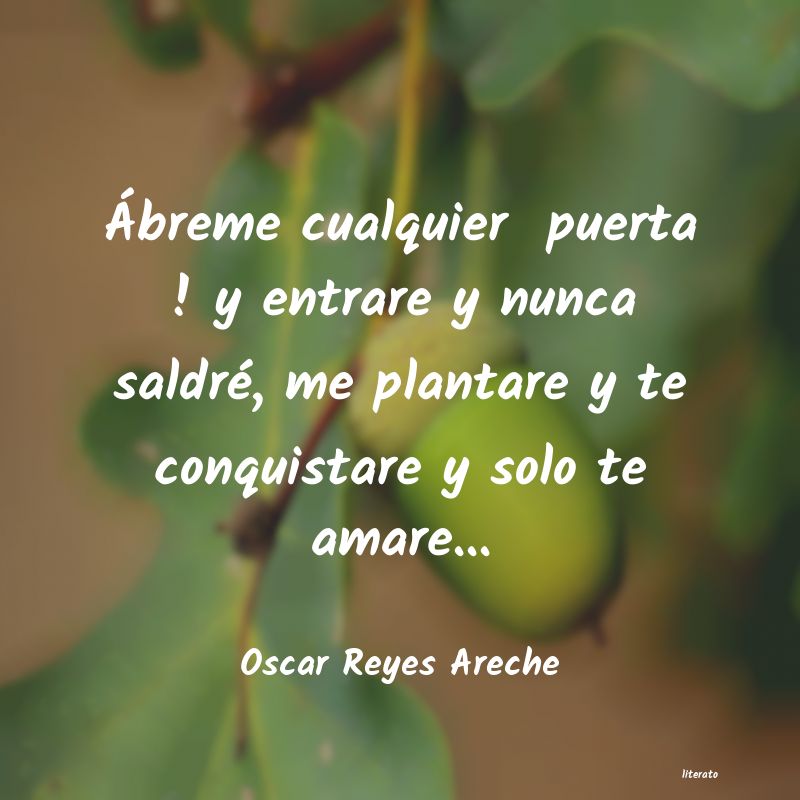 Frases de Oscar Reyes Areche