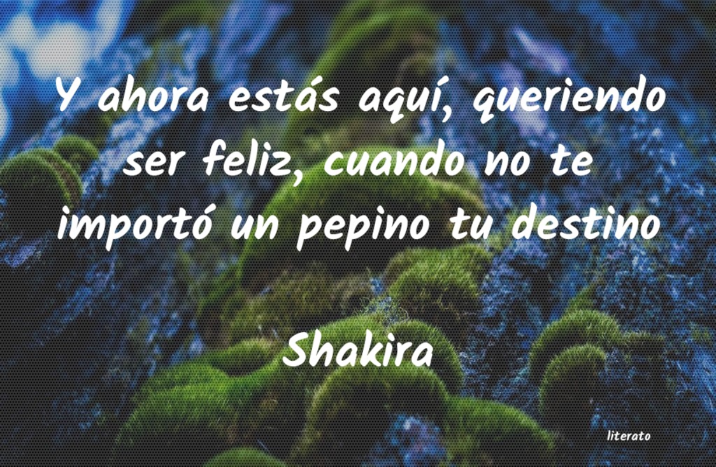 Frases de Shakira